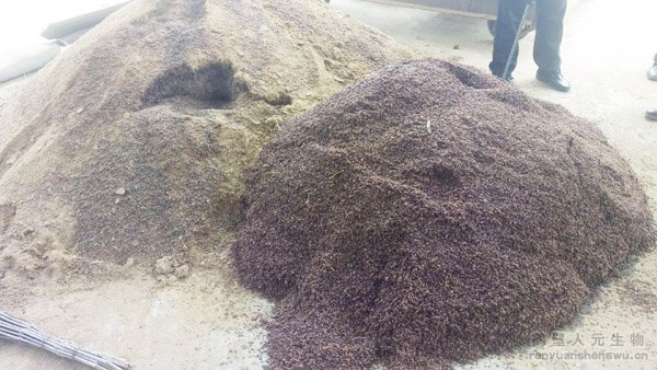 �u�S�ЙC��ԭ�ϰl(f��)��ǰ�󌦱ȈD