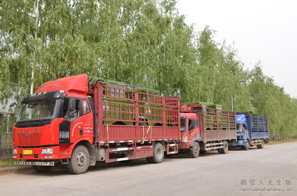 �����Ñ�ӆُ���ЙC(j��)���O(sh��)���(zh��n)��l(f��)؛