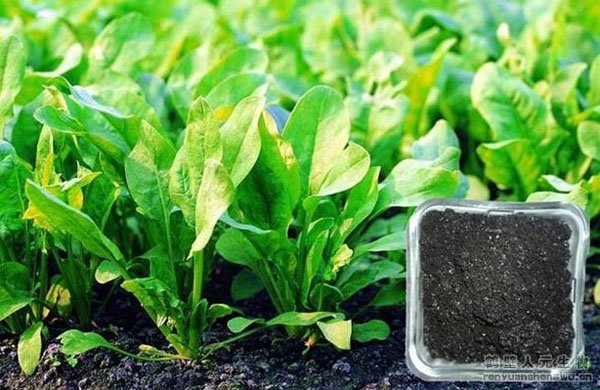 ����������a(ch��n)����ˇ���g(sh��)���O(sh��)��