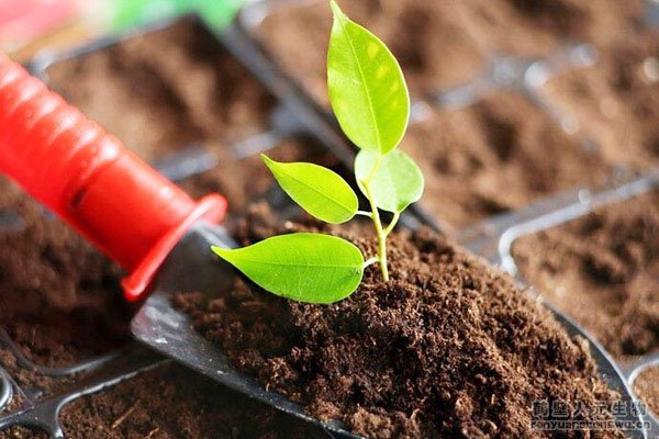 ����������a(ch��n)����ˇ���g(sh��)���O(sh��)��